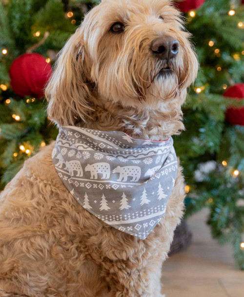 Lazy One Nordic Dog Bandana
