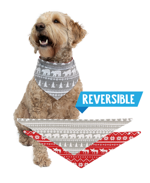 lazy one Nordic Dog Bandana