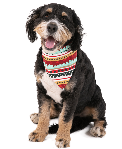 Lazy One Special Delivery Dog Bandana