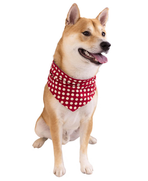 Lazy One Sweet Cheeks Dog Bandana