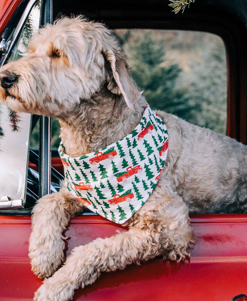 Lazy One Tailgate Dog Bandana