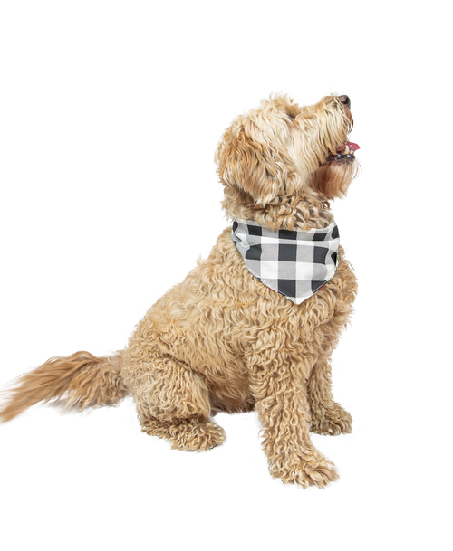 Lazy One Tailgate Dog Bandana