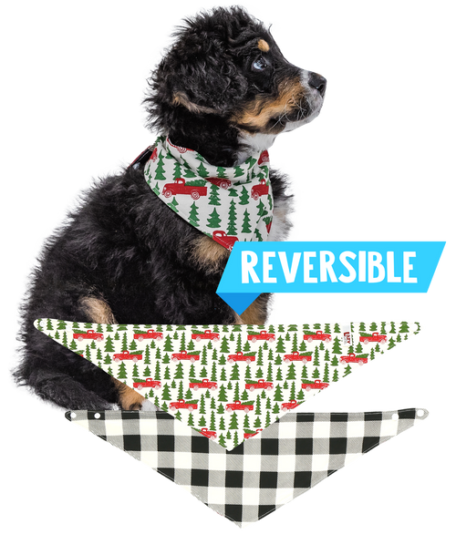 lazy one Tailgate Dog Bandana