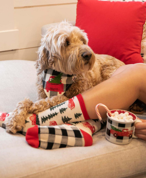 Lazy One Truck Plaid Crew Sock