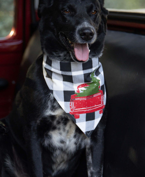 Lazy One Truck Plaid Dog Bandana