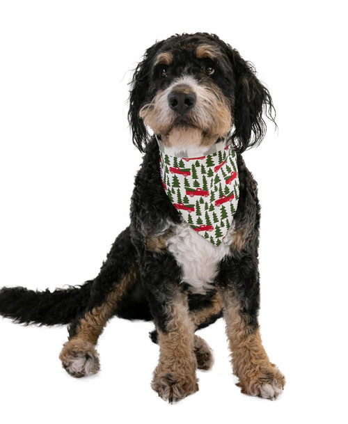 Lazy One Truck Plaid Dog Bandana