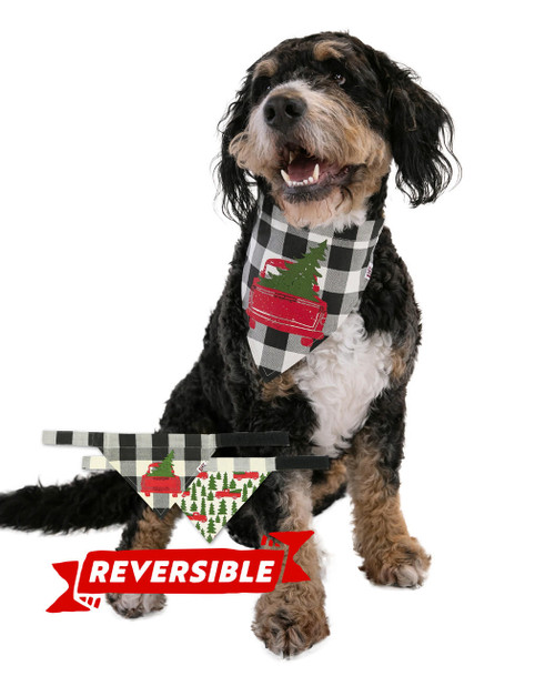 lazy one Truck Plaid Dog Bandana