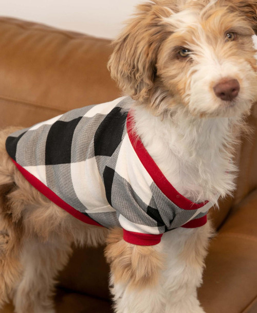 Lazy One Truck Plaid Dog Shirt