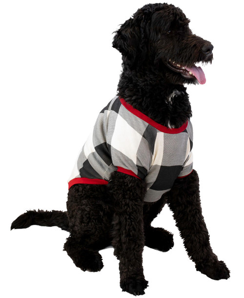 Lazy One Truck Plaid Dog Shirt