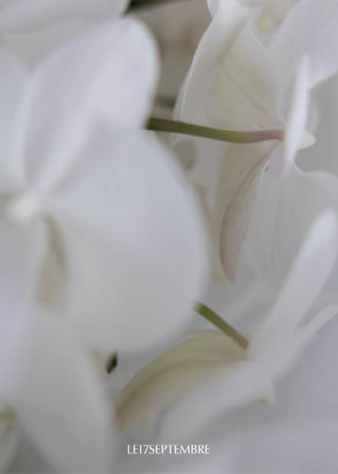 le 17 septembre Básico Collection