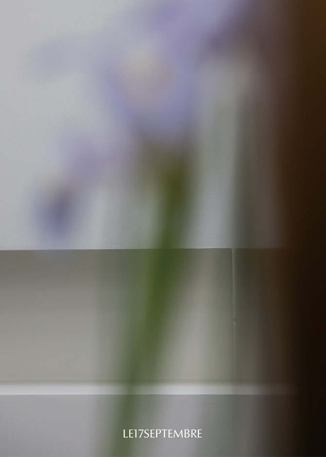 le 17 septembre Básico Collection