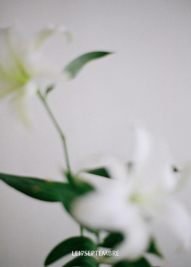 le 17 septembre Básico Collection