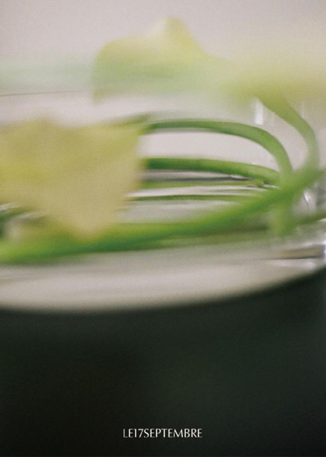 le 17 septembre Básico Collection