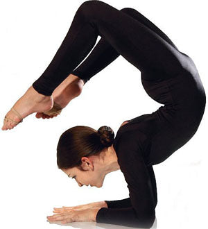 le bos 810C Lycra Long Sleeve Scoop Neck Unitard Many Colors Available