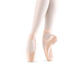 le bos Bloch Eurostretch Pointe Shoes S0172L