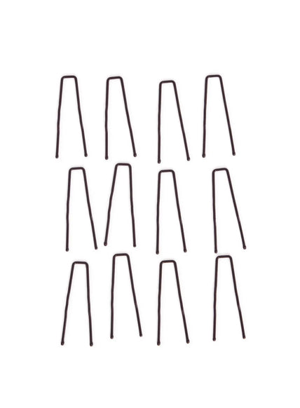 Le Bos Capezio 2 Inch Hairpins BH1711