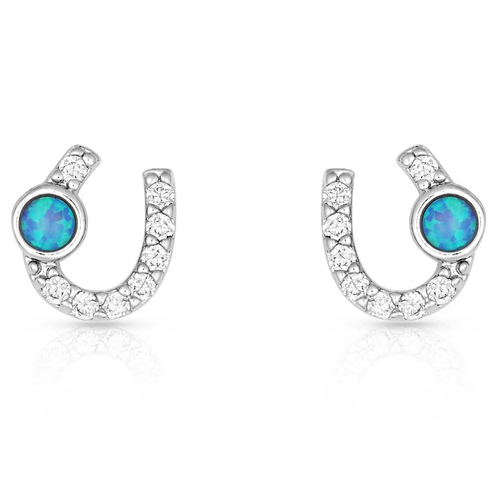 le bos Montana Silversmith Lightfoot Horseshoe Earrings ER3394