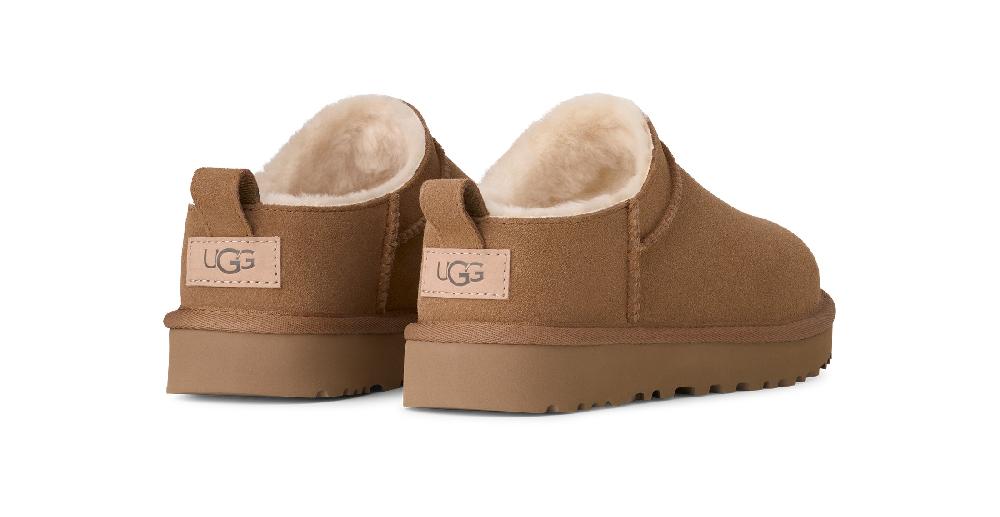 Le Bos Ugg Chestnut Classic Micro Women's Shoes 1173891-CHE