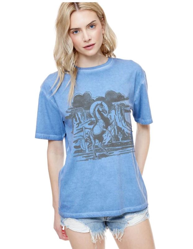 le bos Zutter Blue Horse Desert Canyon Scene Lunar Pigmented Women's Short SleeveTee Shirt K7755-2389-BLU