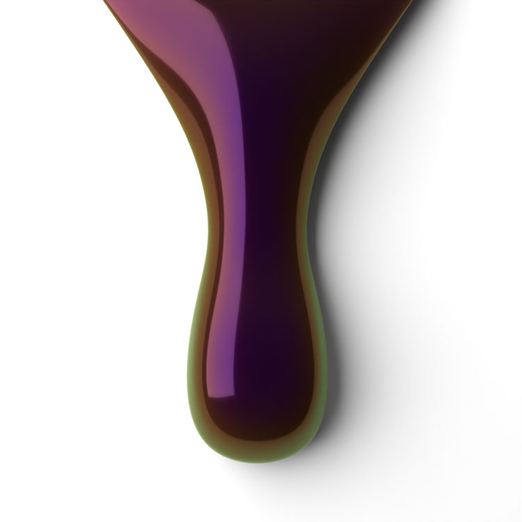 le chat Anubis Perfect Match Duo