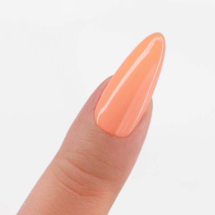 Le Chat Apricot Splash Perfect Match Pro Duo