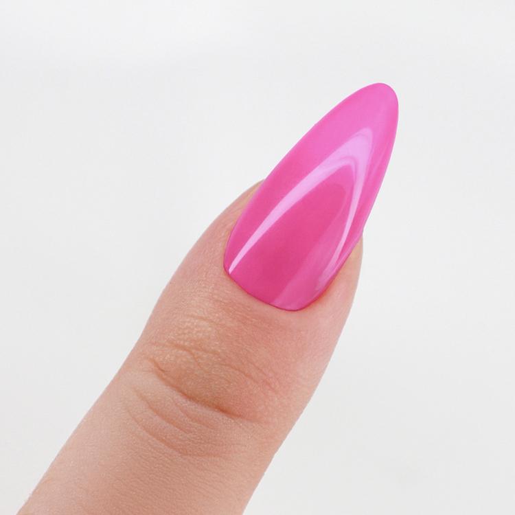 Le Chat BFF Perfect Match Pro Powder