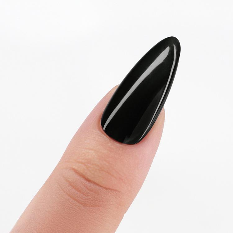 Le Chat Black Velvet Gown Perfect Match Pro Duo