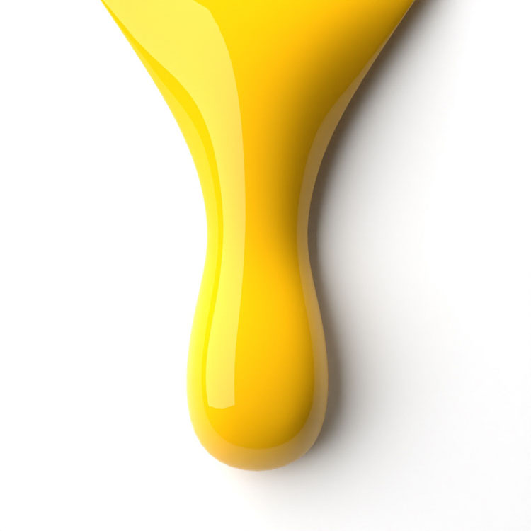 le chat Blazin’ Sun Perfect Match Duo