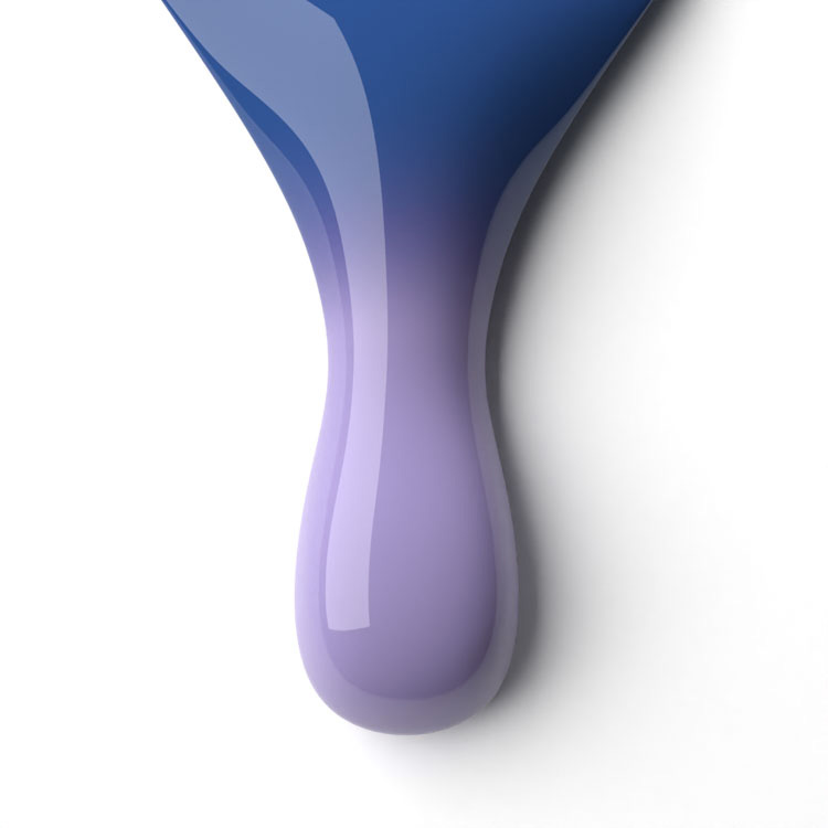 le chat Blue Haven Perfect Match Duo