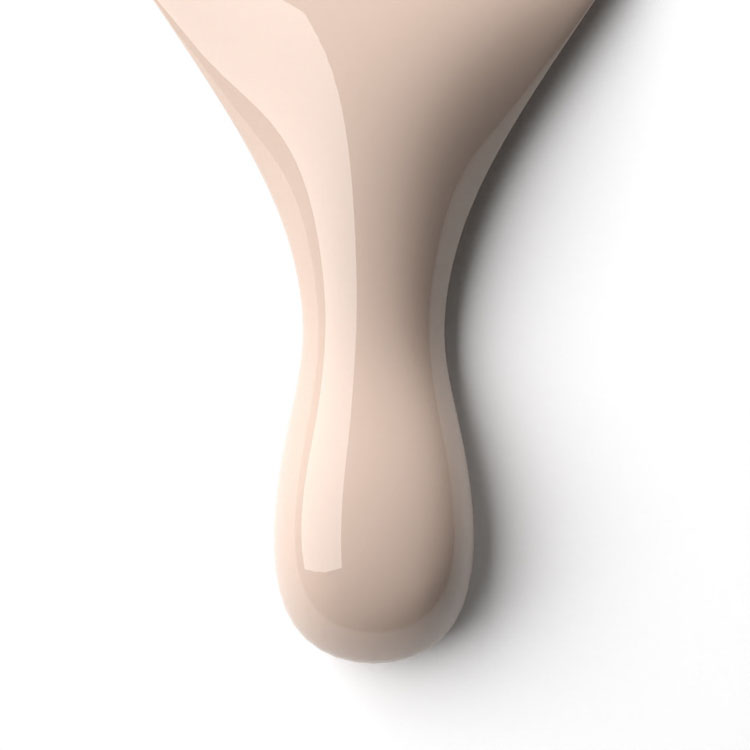 le chat Champagne Dreams Perfect Match Duo