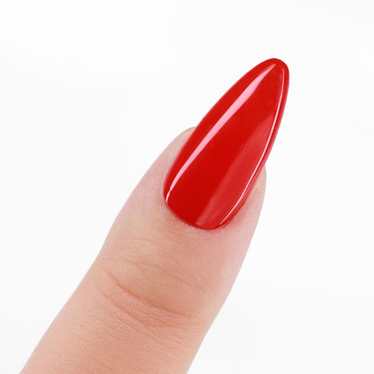 Le Chat Citrus Punch Perfect Match Pro Powder