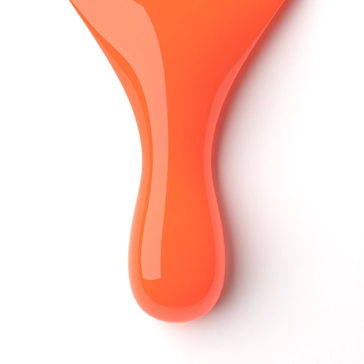 le chat Coral Carnation Perfect Match Duo