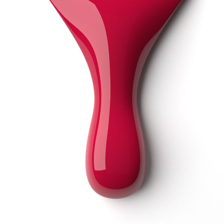 le chat Cosmopolitan Perfect Match Duo