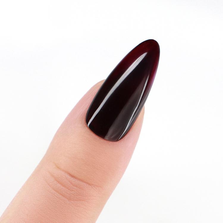 Le Chat Cranberry Kiss Perfect Match Pro Duo