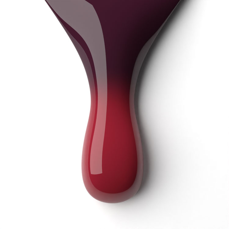 le chat Dark Rose Perfect Match Duo