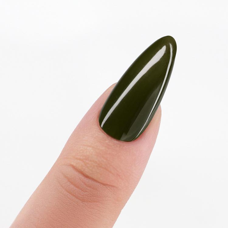 Le Chat Deep Olive Perfect Match Pro Powder