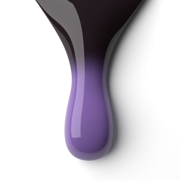 le chat Dream Chaser Perfect Match Duo