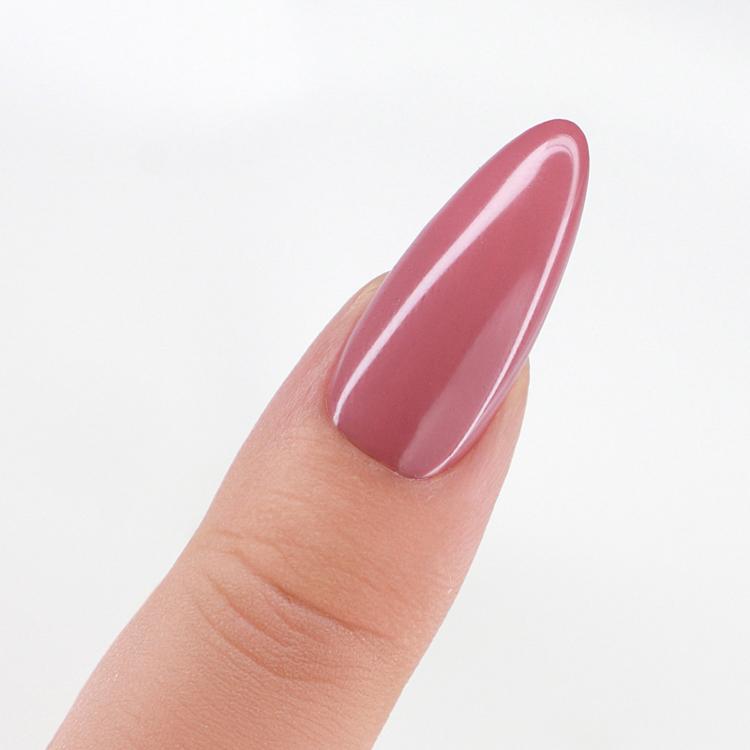 Le Chat Dried Roses Perfect Match Pro Powder