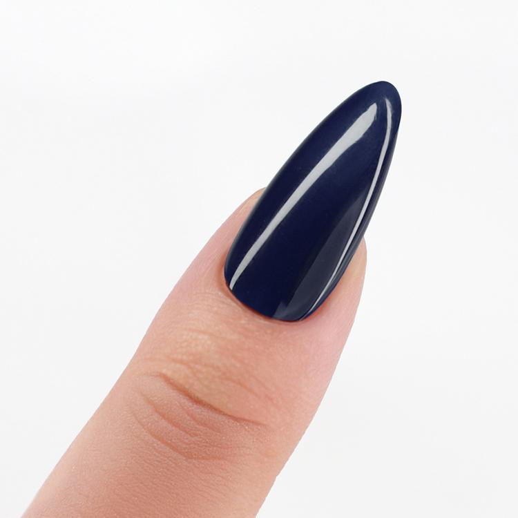 Le Chat Evening Song Perfect Match Pro Duo