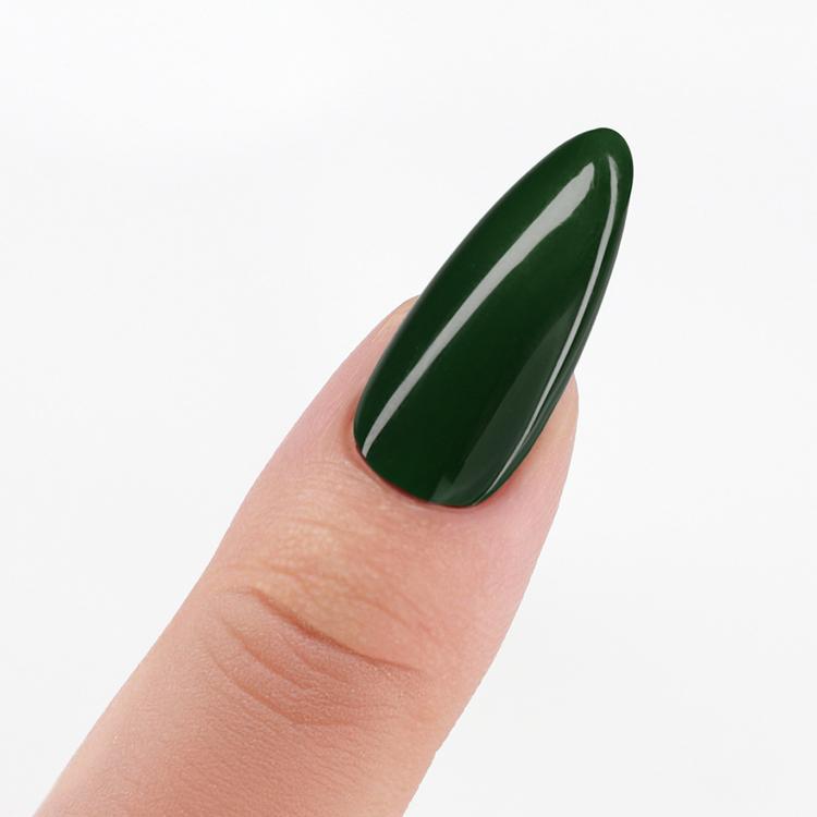 Le Chat Evergreen Perfect Match Pro Powder