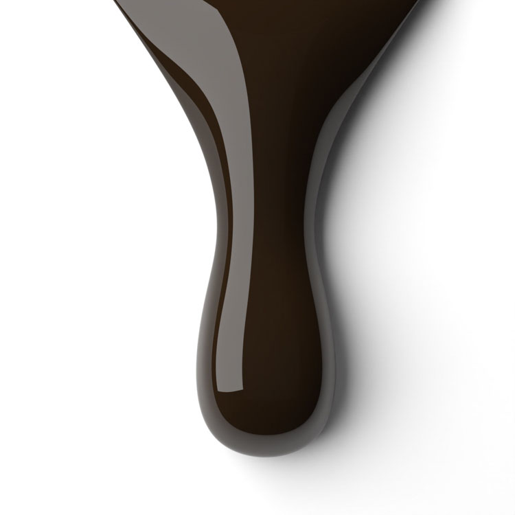 le chat Fabulous Boot Camp Perfect Match Duo