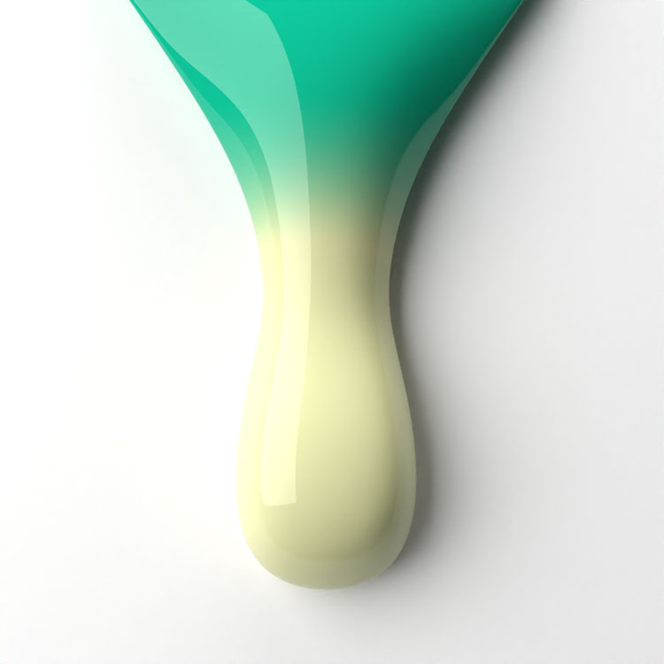 le chat Fantasea Perfect Match Duo