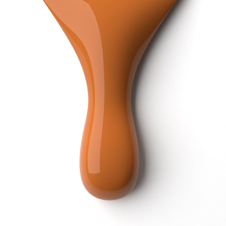 le chat Felicity Perfect Match Duo