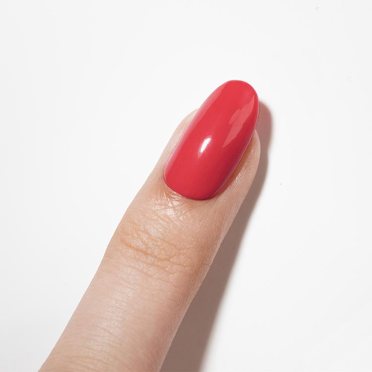 Le Chat Finesse Color & Top In One Coat