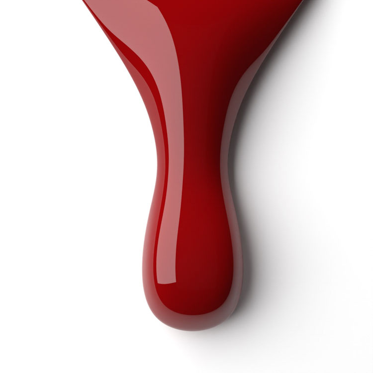 le chat Fizzy Apple Perfect Match Duo