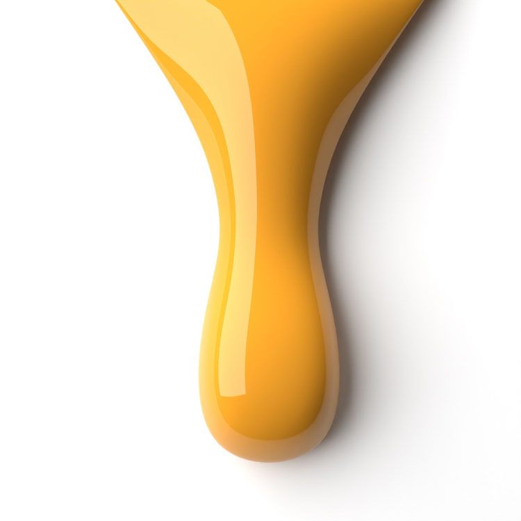 le chat Golden Boyfriend Perfect Match Duo