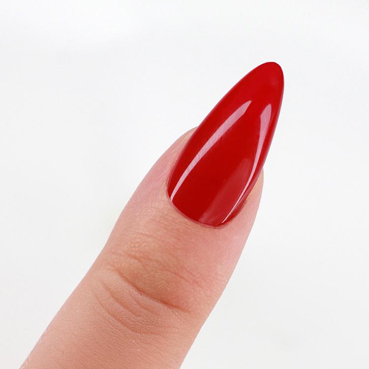 Le Chat Goodbye Kiss Perfect Match Pro Powder