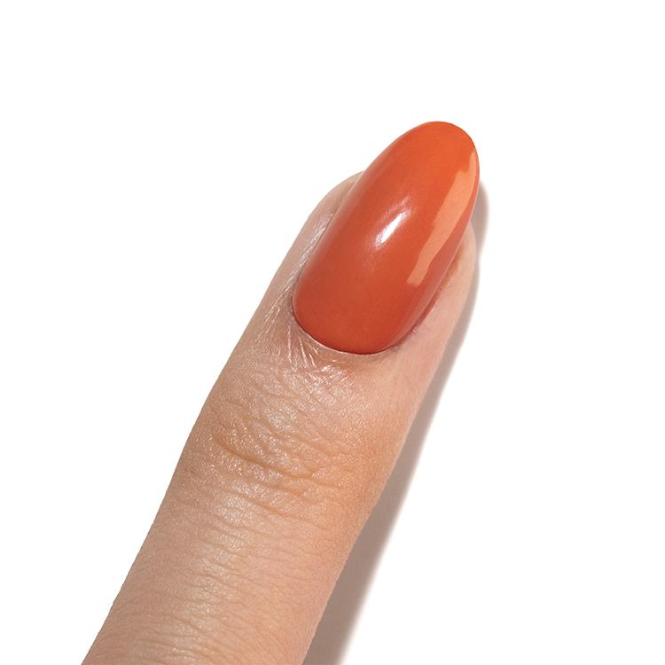 Le Chat Griffin Color & Top In One Coat