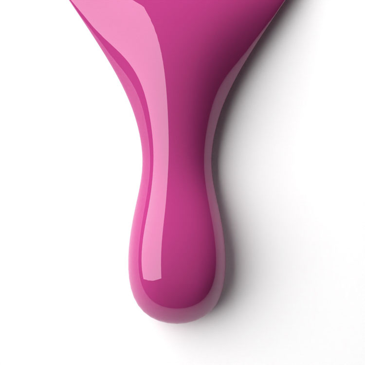 le chat Gypsy Rose Perfect Match Duo