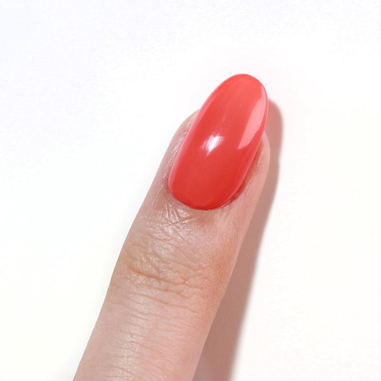 Le Chat Heather Color & Top In One Coat